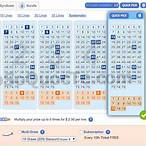online lottery neteller